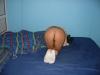 2 fete care stiu treaba