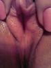 amante