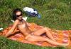 picnic