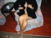 sotia